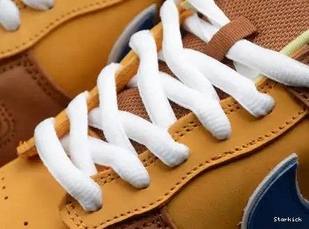 Nike Dunk Brown Newcastle 313170-741 SB Low Ale 0421